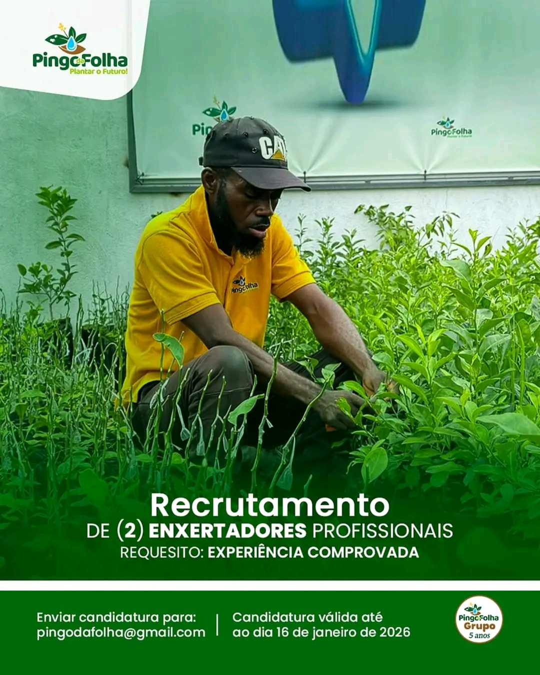 Emprego